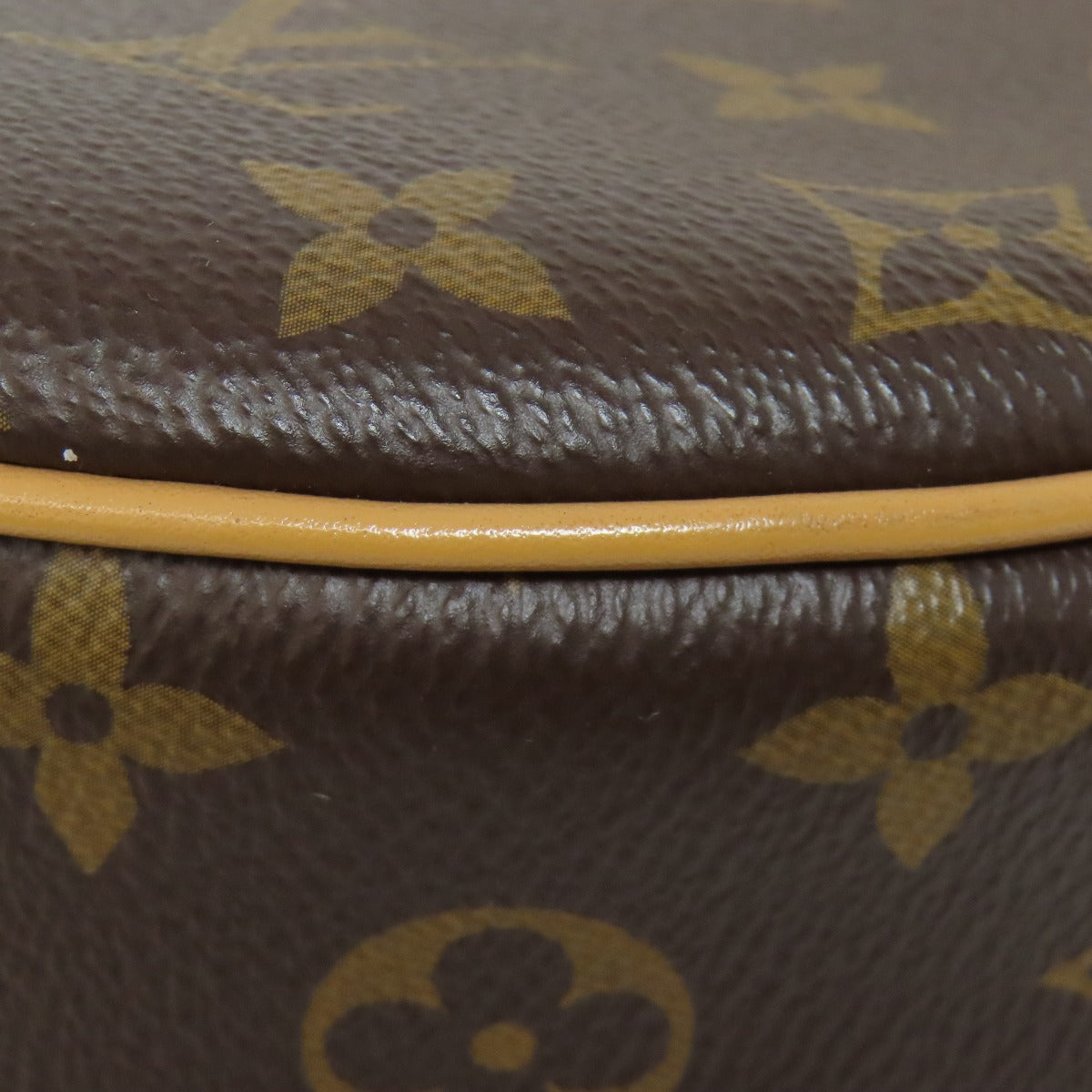 LOUIS VUITTON ルイヴィトン M81098 ループ ショルダーバッグ モノグラムキャンバス レディース 中古