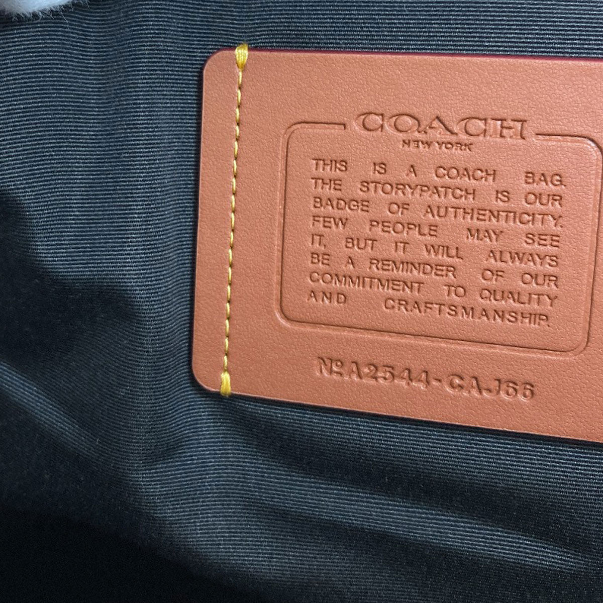 COACH コーチ CAJ66 ロゴ リュック・デイパック レザー レディース 中古
