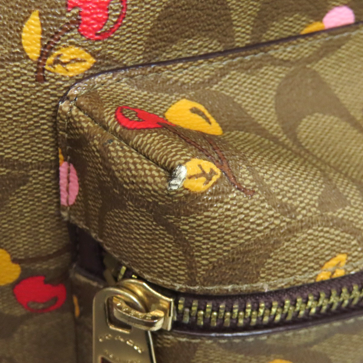 COACH コーチ F31372 チェリー シグネチャー リュック・デイパック PVC レディース 中古
