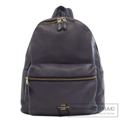 COACH コーチ F29004 ロゴ リュック・デイパック レザー レディース 中古