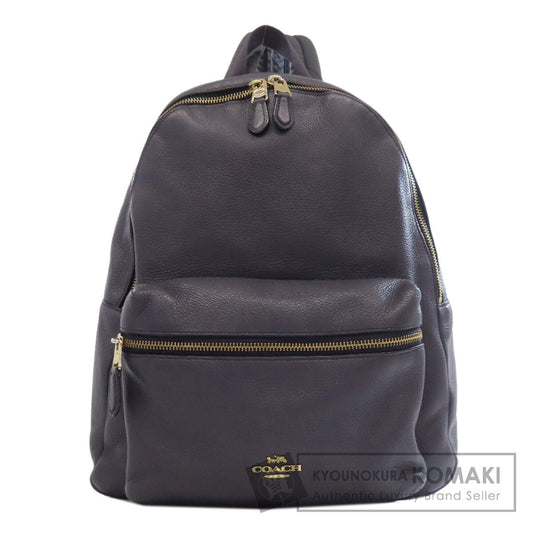 COACH コーチ F29004 ロゴ リュック・デイパック レザー レディース 中古