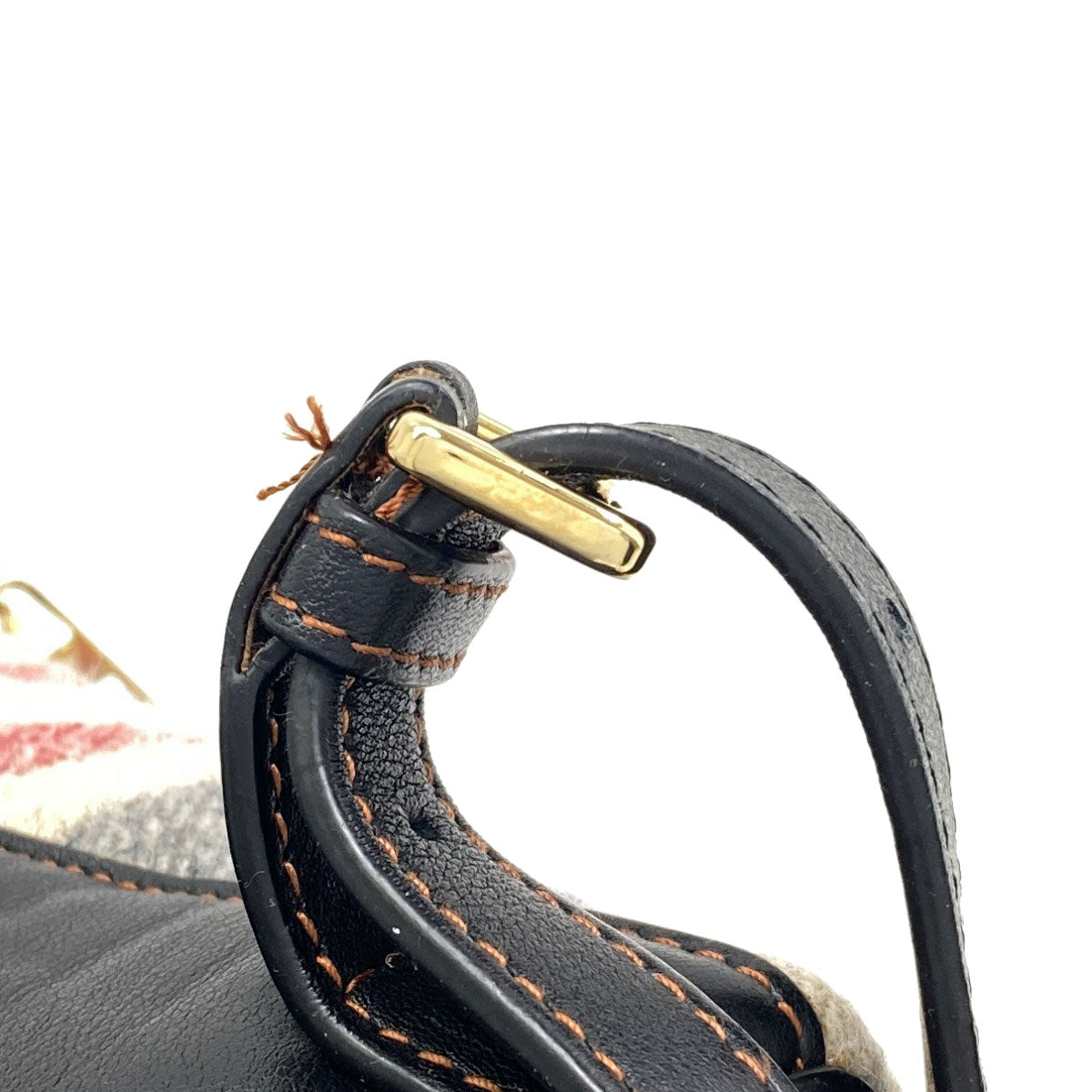 ロエベ ゴヤ リュック・デイパック 中古 商品画像14