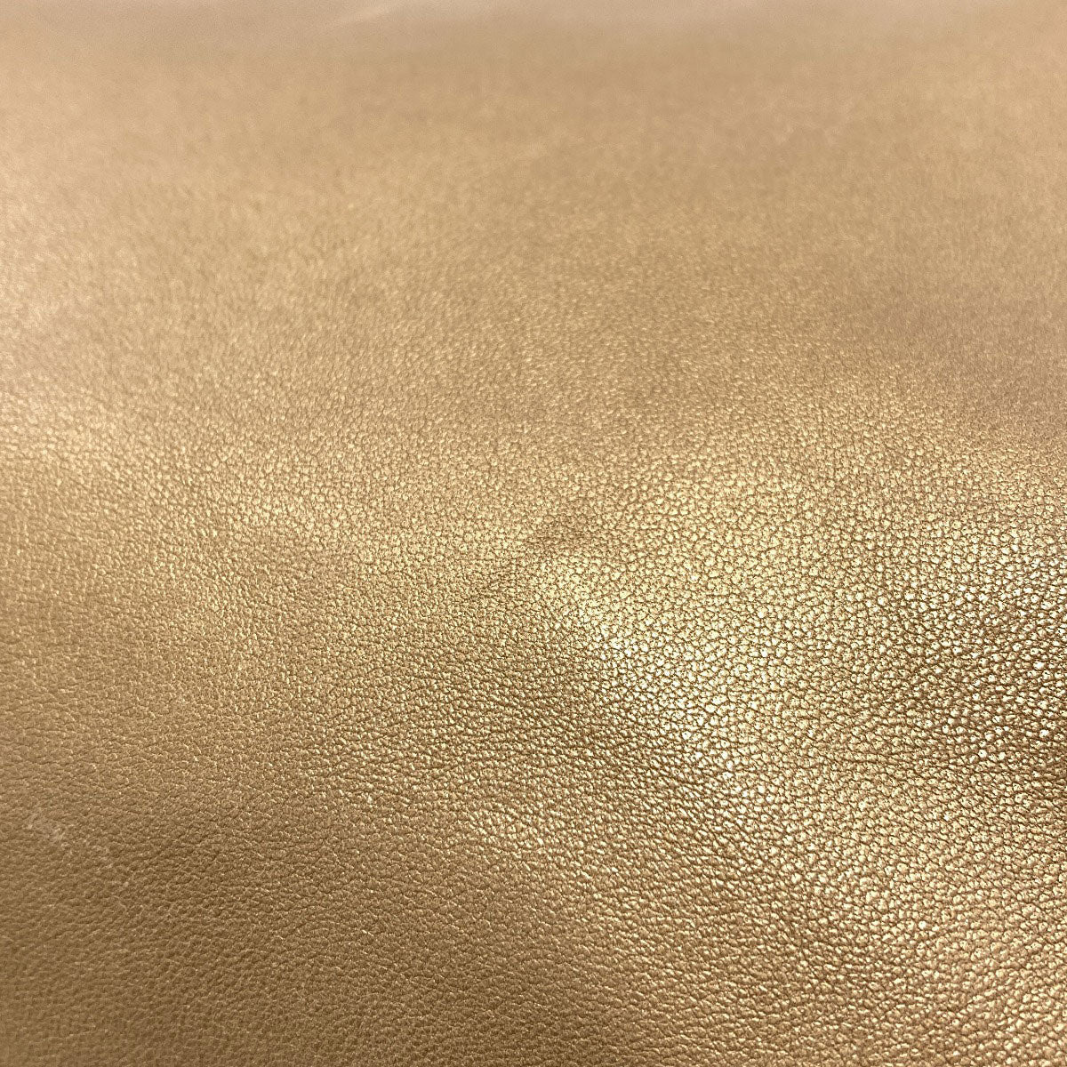 ロエベ ナッパアイレ ハンドバッグ 中古 商品画像12