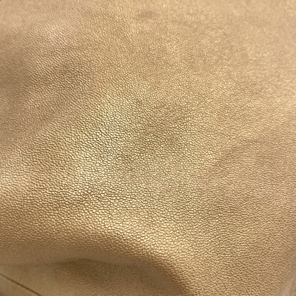 ロエベ ナッパアイレ ハンドバッグ 中古 商品画像19