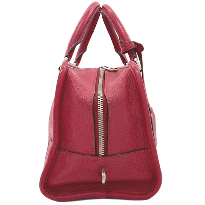 LOEWE ロエベ アマソナ ハンドバッグ カーフ レディース 中古