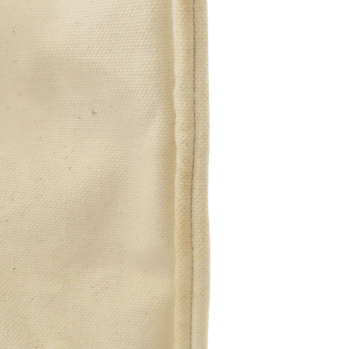 ロエベ パウラズ イビザ カバス トートバッグ 中古 商品画像14