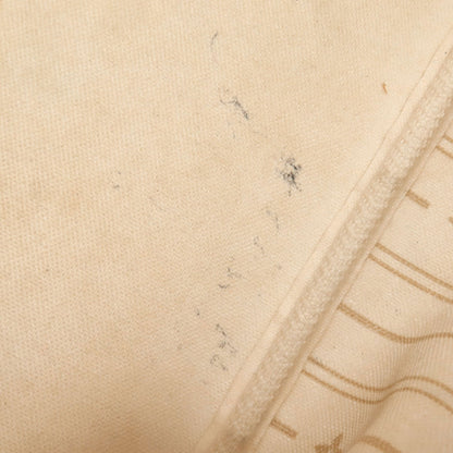 ルイヴィトン N51110 ネヴァーフルPM 旧 トートバッグ 中古 商品画像14