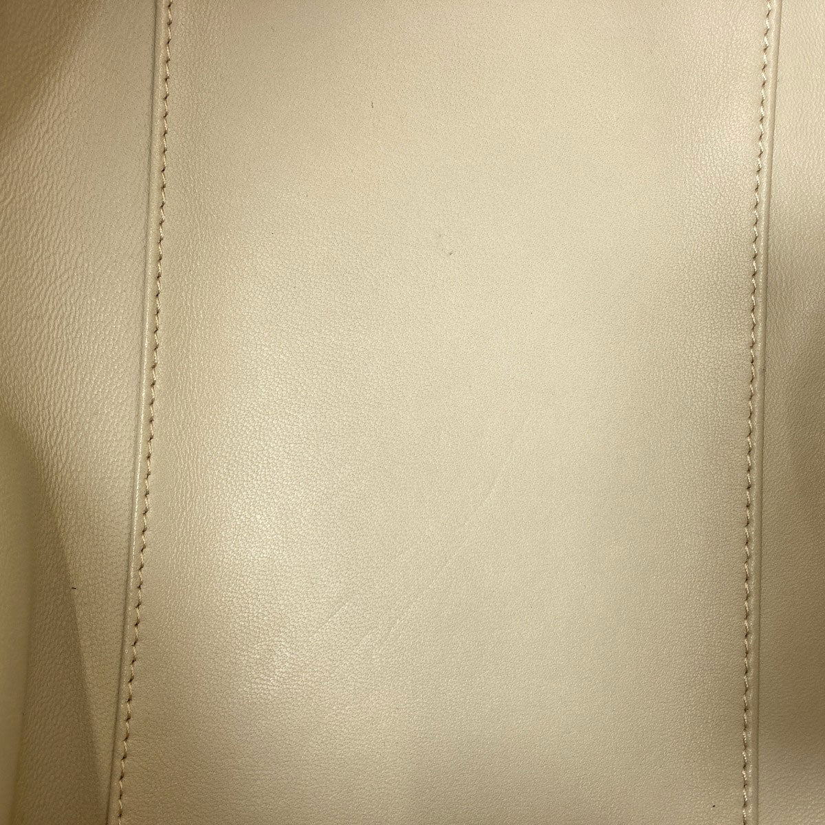 ロエベ アマソナ ハンドバッグ 中古 商品画像12