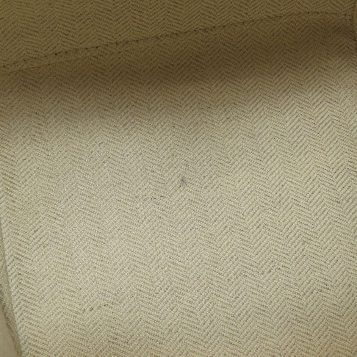 ロエベ ハンモック 2WAY ハンドバッグ 中古 商品画像8