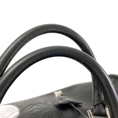 ロエベ アマソナ ハンドバッグ 中古 商品画像19
