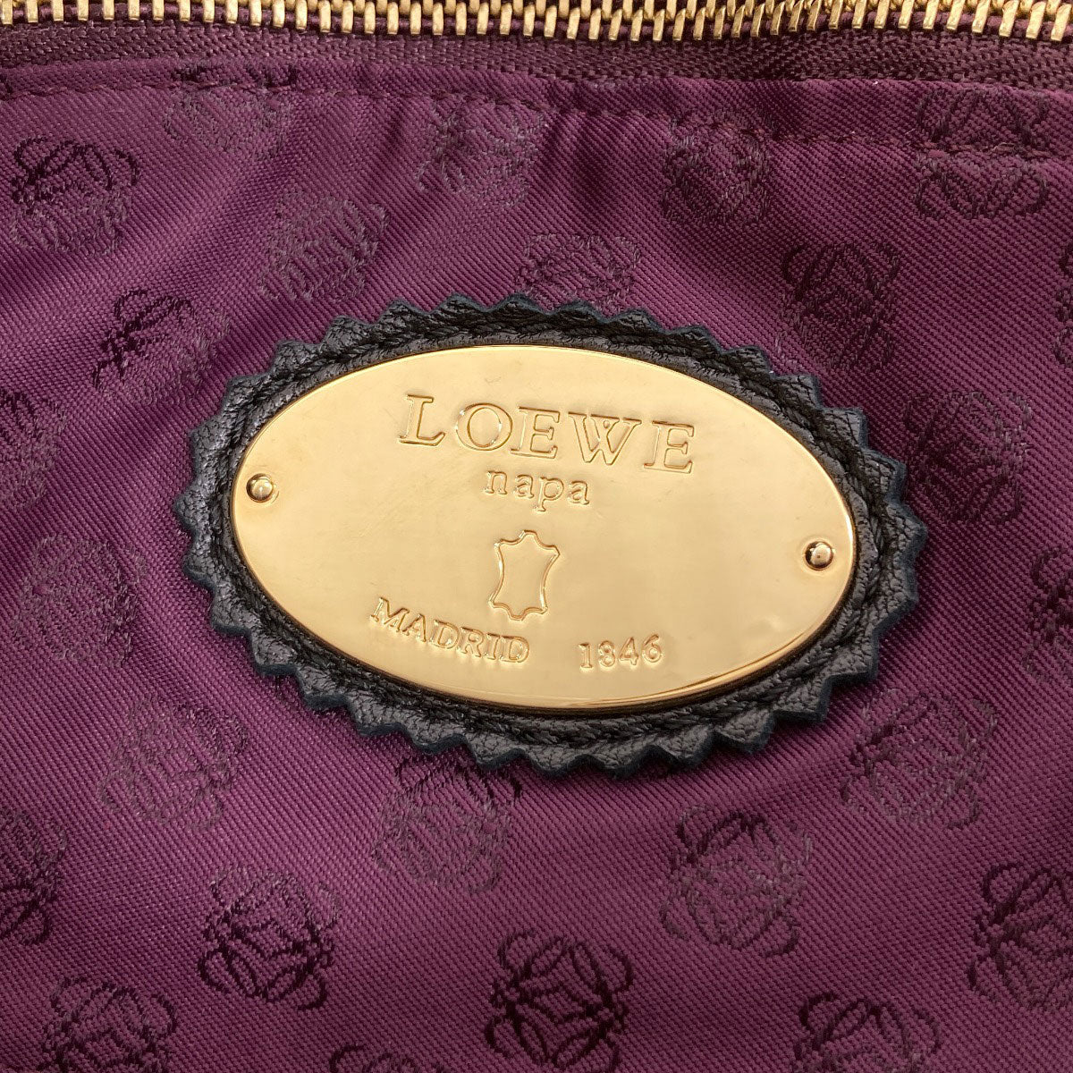 ロエベ ナッパアイレ ハンドバッグ 中古 商品画像7